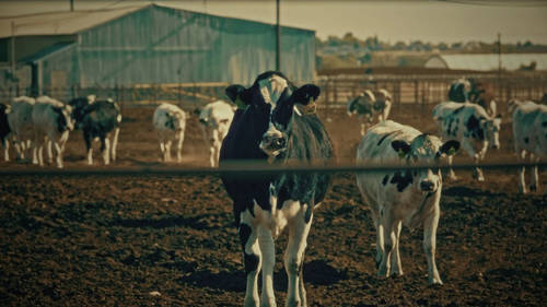 Yakima Herald Republic: New documentary on ag pollution in Yakima Valley draws industry criticism by Questen Inghram